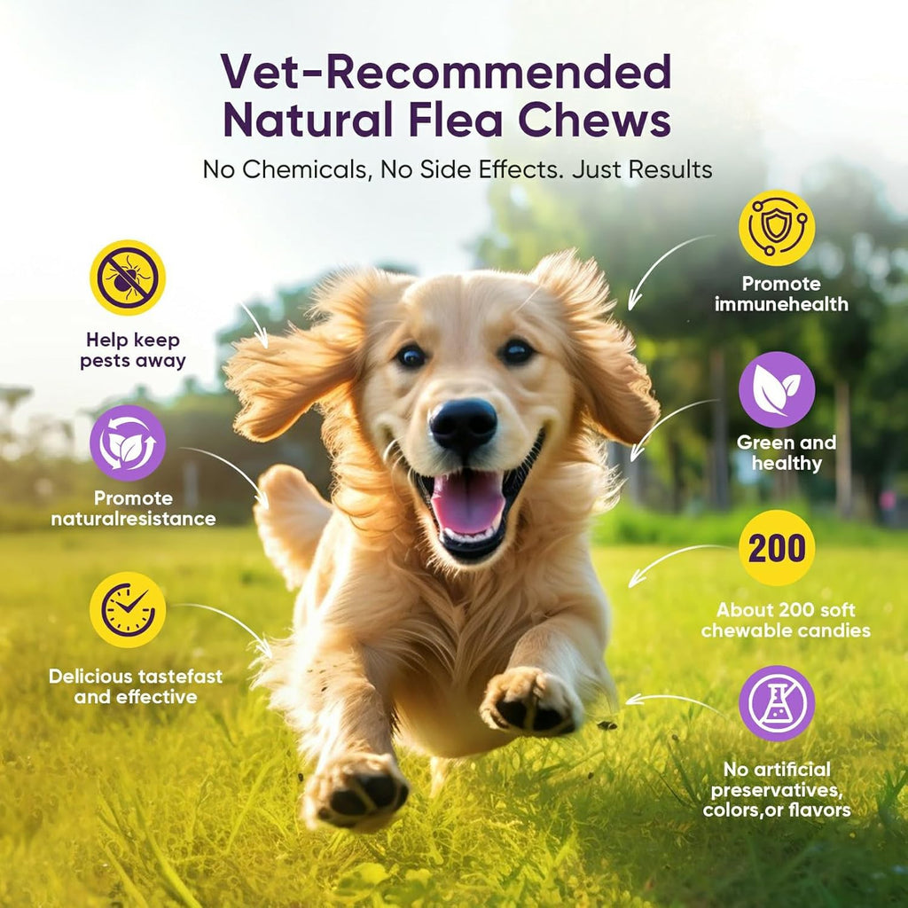 Powerful Natural Flea Defense