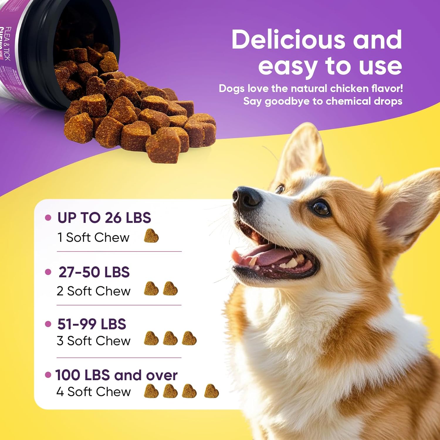 Powerful Natural Flea Defense